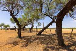 County Road 4843 Dilley TX 78017