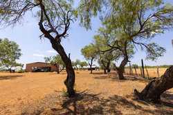 County Road 4843 Dilley TX 78017