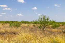 County Road 4843 Dilley TX 78017