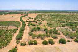 County Road 4843 Dilley TX 78017