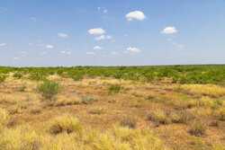 County Road 4843 Dilley TX 78017