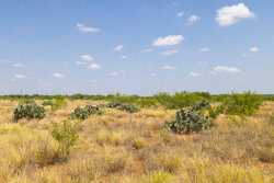 County Road 4843 Dilley TX 78017