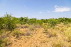 County Road 4843 Dilley TX 78017