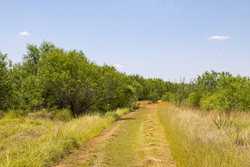 County Road 4843 Dilley TX 78017