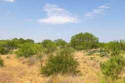 County Road 4843 Dilley TX 78017