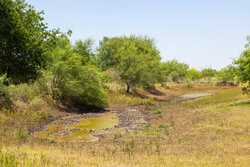 County Road 4843 Dilley TX 78017