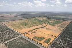 County Road 4843 Dilley TX 78017