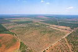 County Road 4843 Dilley TX 78017