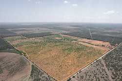 County Road 4843 Dilley TX 78017