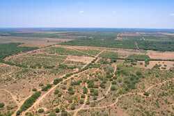 County Road 4843 Dilley TX 78017