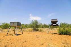 County Road 4843 Dilley TX 78017