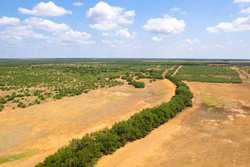 County Road 4843 Dilley TX 78017