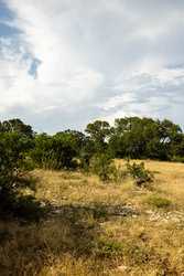 362 Coneflower Drive Spring Branch TX 78070