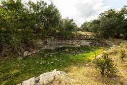 362 Coneflower Drive Spring Branch TX 78070