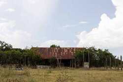362 Coneflower Drive Spring Branch TX 78070