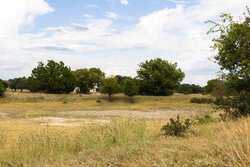 362 Coneflower Drive Spring Branch TX 78070