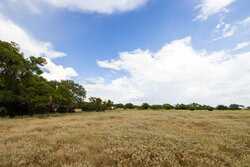 362 Coneflower Drive Spring Branch TX 78070