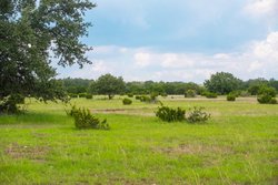 Dripping Springs TX