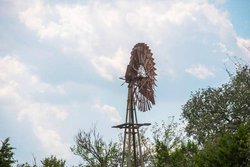Dripping Springs TX