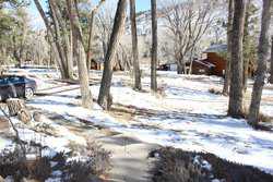 Nathrop CO 81236