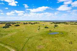 Palacios TX