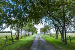 Palacios TX