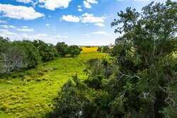 Palacios TX
