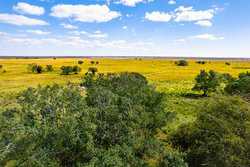 Palacios TX