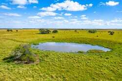 Palacios TX