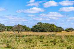 Palacios TX