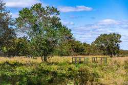 Palacios TX