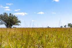 Palacios TX