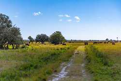 Palacios TX