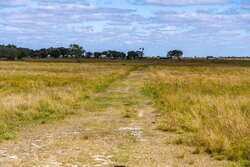 Palacios TX