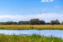 Palacios TX