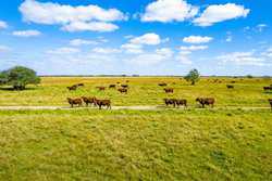 Palacios TX