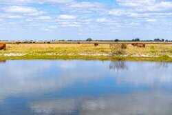 Palacios TX