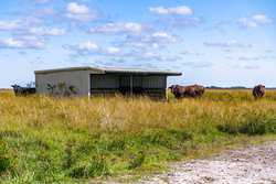 Palacios TX