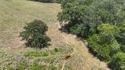 TBD Highway 304 Harwood TX 78632
