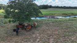 TBD Highway 304 Harwood TX 78632
