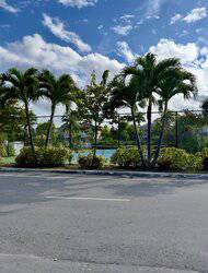 New Providence Paradise Island BS