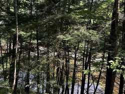 River Road Jamaica VT 05343