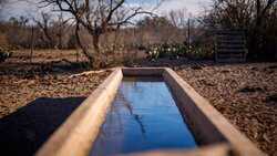 Brackettville TX 78832