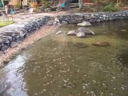 189 Pikes Point Road Bristol NH 03222