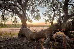 242 Model T Road Blanco TX 78606