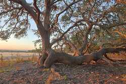 242 Model T Road Blanco TX 78606