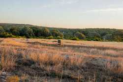 242 Model T Road Blanco TX 78606