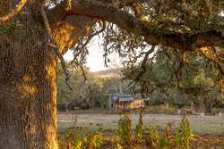 242 Model T Road Blanco TX 78606