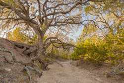 242 Model T Road Blanco TX 78606