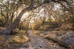 242 Model T Road Blanco TX 78606